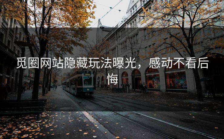 觅圈网站隐藏玩法曝光，感动不看后悔