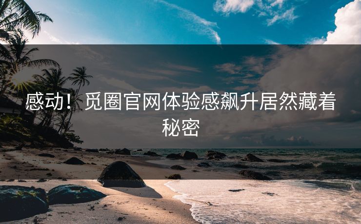 感动！觅圈官网体验感飙升居然藏着秘密
