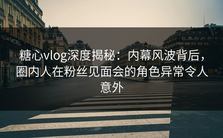 糖心vlog深度揭秘：内幕风波背后，圈内人在粉丝见面会的角色异常令人意外