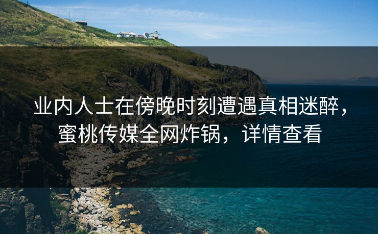 业内人士在傍晚时刻遭遇真相迷醉，蜜桃传媒全网炸锅，详情查看