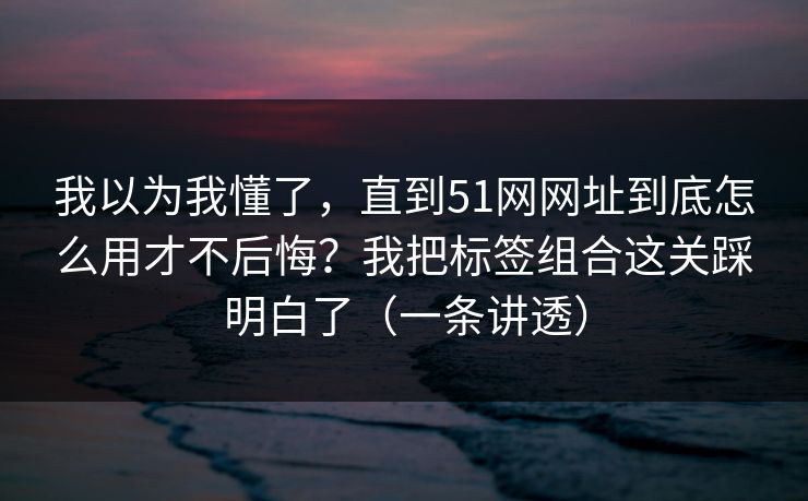 我以为我懂了，直到51网网址到底怎么用才不后悔？我把标签组合这关踩明白了（一条讲透）